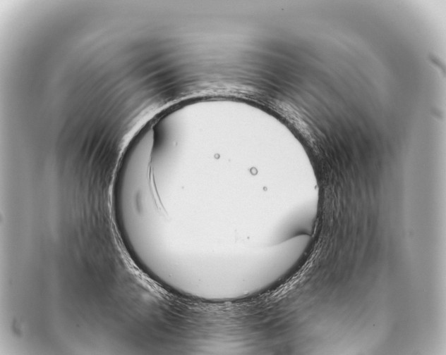 X0000093360936200711081511