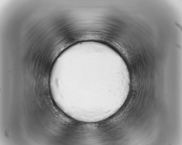 X0000093360937200711081511