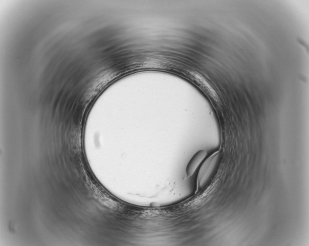 X0000093360938200711081511
