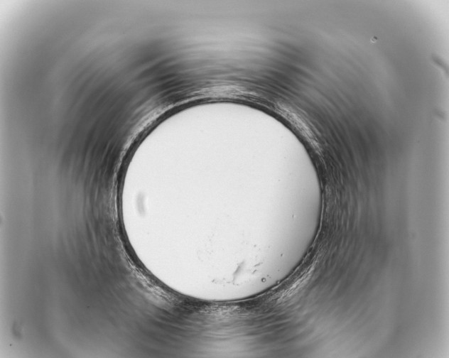 X0000093360939200711081511