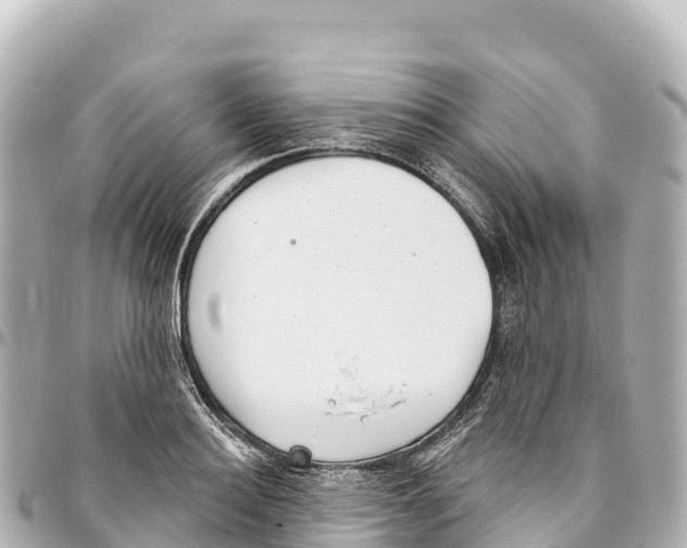 X0000093360940200711081511