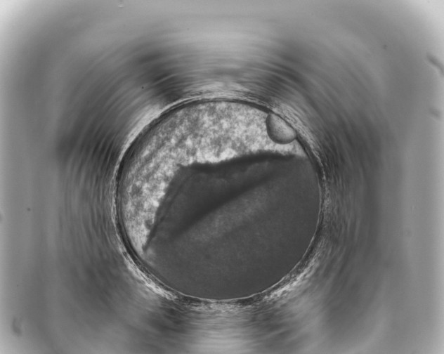 X0000093360941200711081511