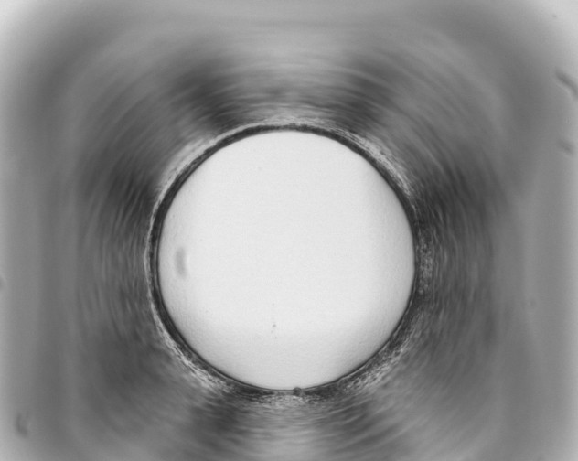 X0000093360943200711081511