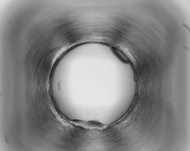 X0000093360944200711081511