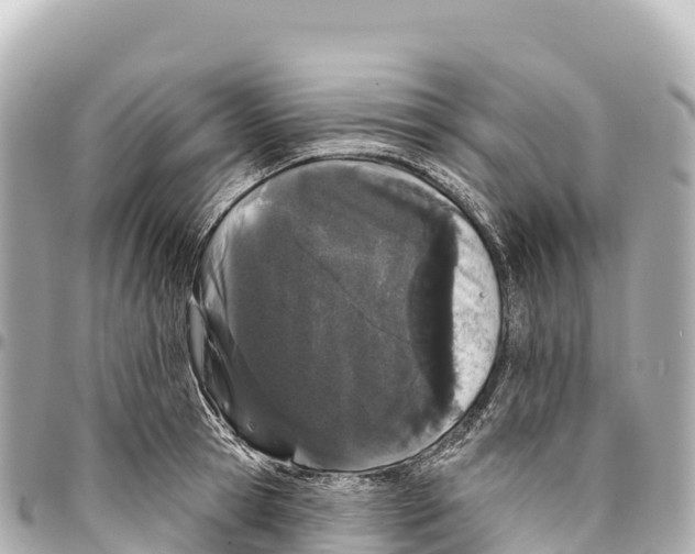 X0000093360945200711081511