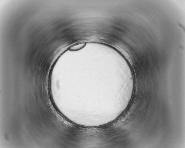 X0000093360949200711081512