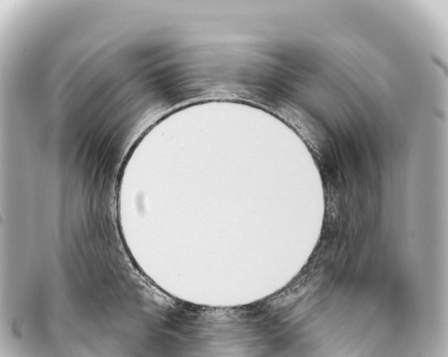 X0000093360950200711081512