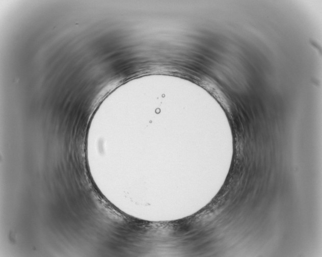 X0000093360954200711081512