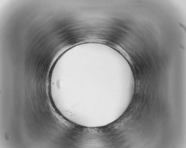 X0000093360955200711081512
