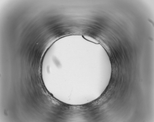 X0000093360956200711081512