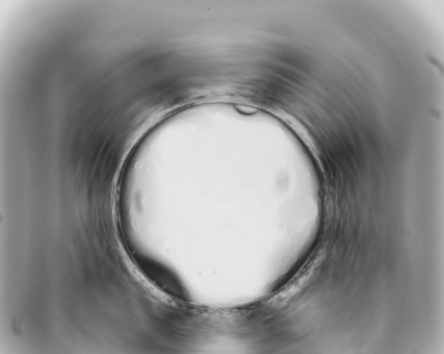 X0000093360957200711081512