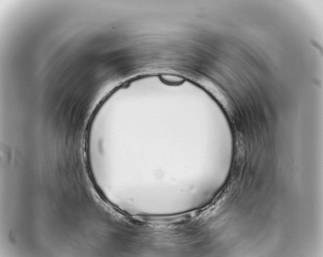 X0000093360958200711081512