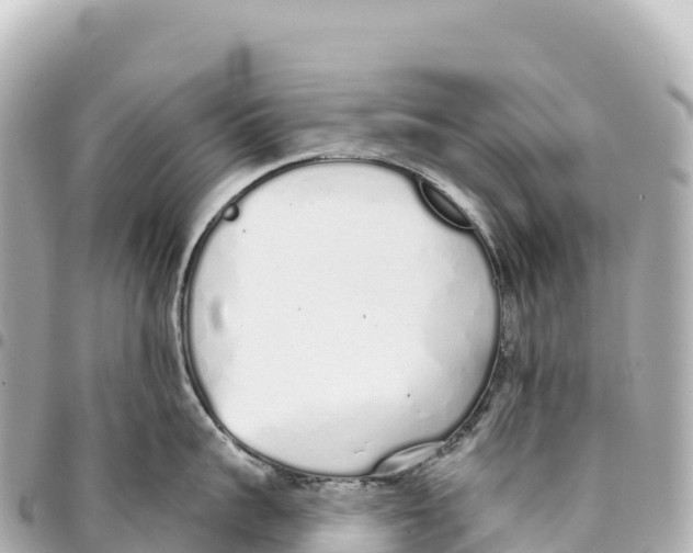 X0000093360959200711081512