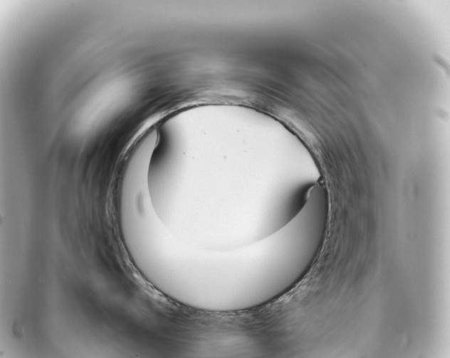 X0000093360960200711081512