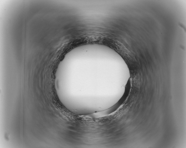 X0000093360961200711081511