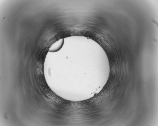 X0000093360964200711081511
