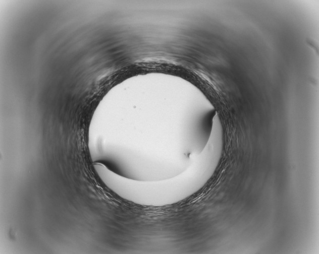 X0000093360965200711081511
