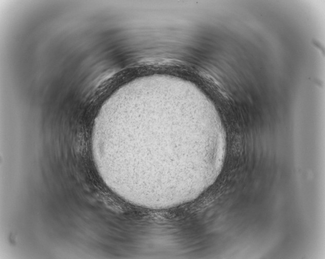 X0000093360966200711081511