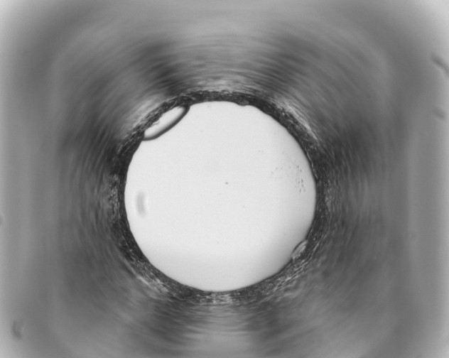 X0000093360968200711081511
