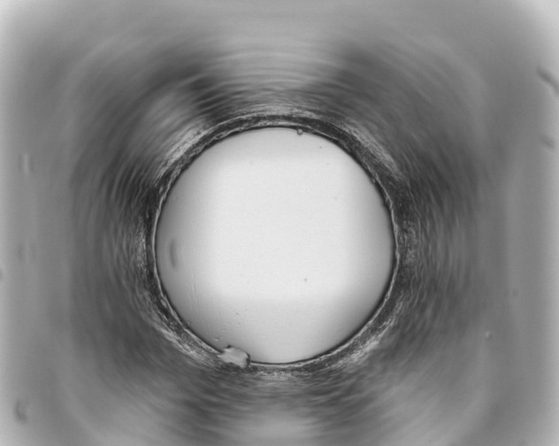 X0000093360969200711081511