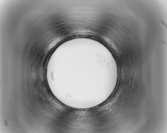 X0000093360970200711081511