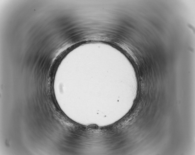 X0000093360971200711081511