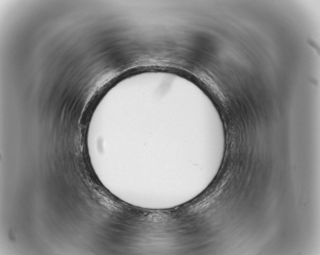 X0000093360974200711081511