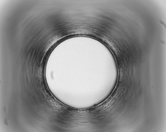 X0000093360975200711081511