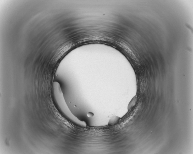 X0000093360977200711081511