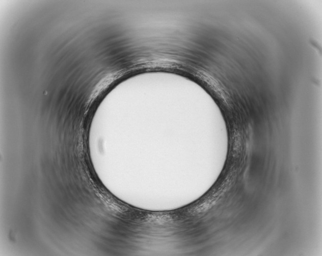 X0000093360978200711081511