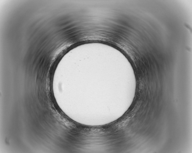 X0000093360979200711081511