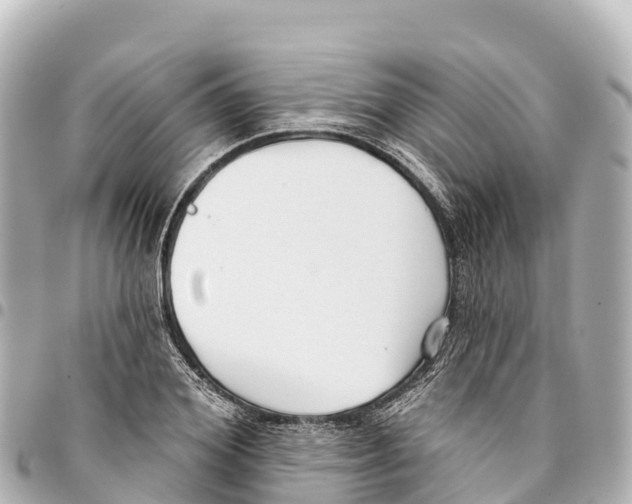 X0000093360980200711081511