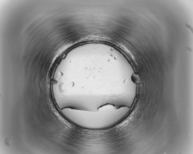 X0000093360981200711081511