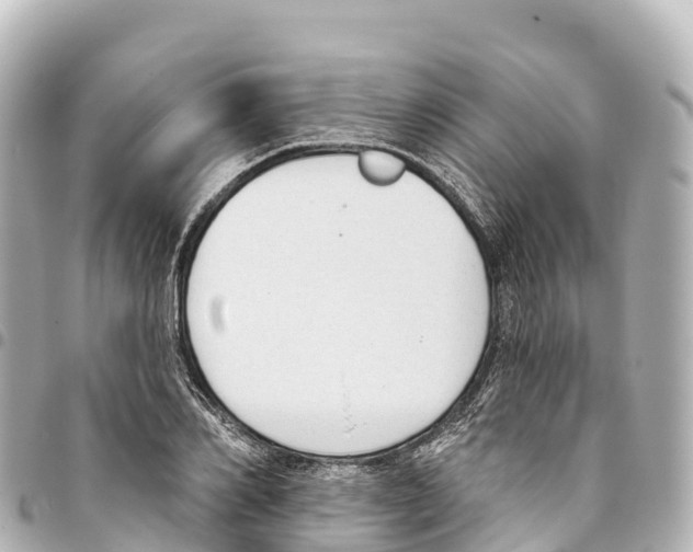 X0000093360982200711081511