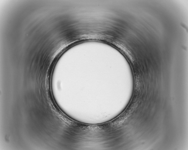 X0000093360983200711081511