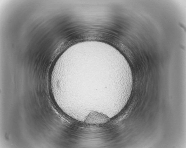 X0000093360986200711081511