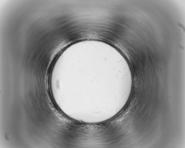 X0000093360987200711081511