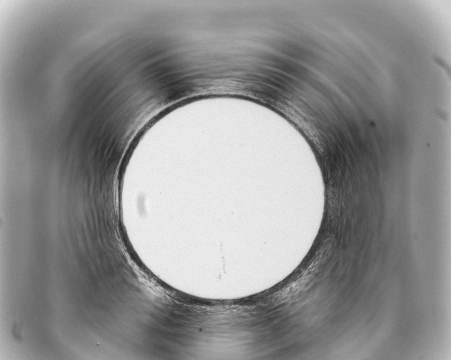 X0000093360988200711081511