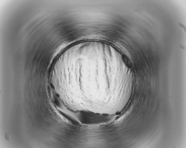X0000093360989200711081511
