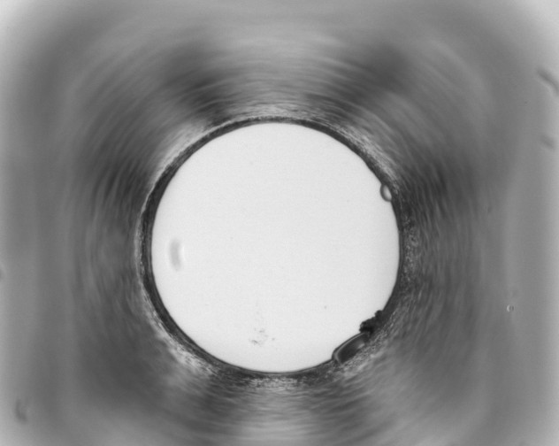 X0000093360991200711081511