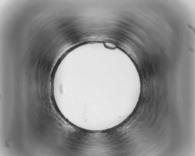 X0000093360992200711081511