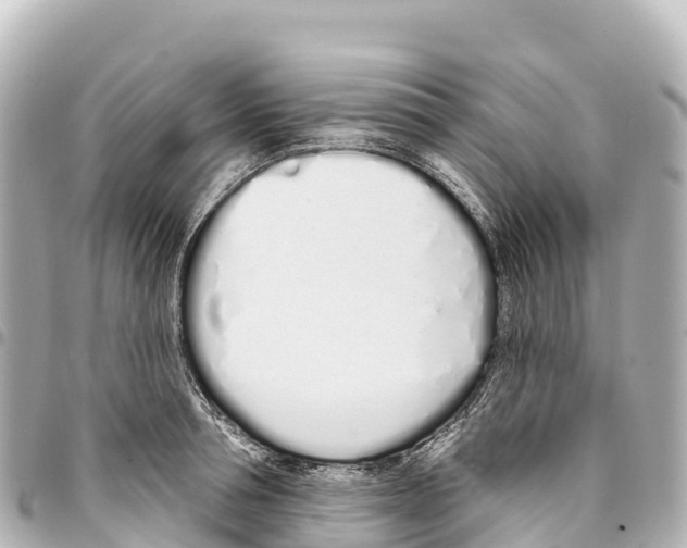 X0000093360994200711081511