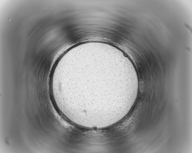 X0000093360995200711081511