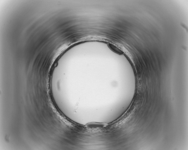 X0000093360997200711081511