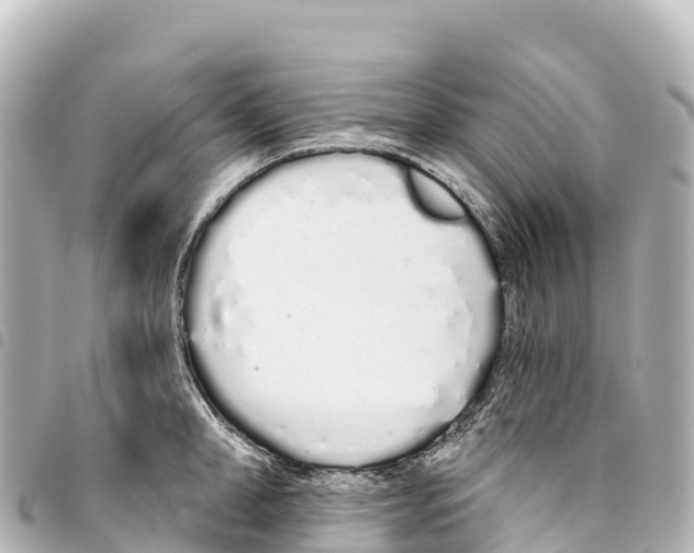 X0000093360998200711081511