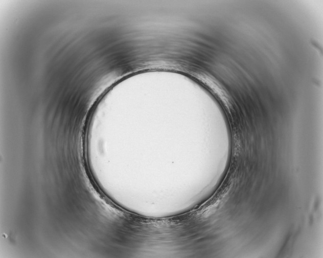 X0000093360999200711081510