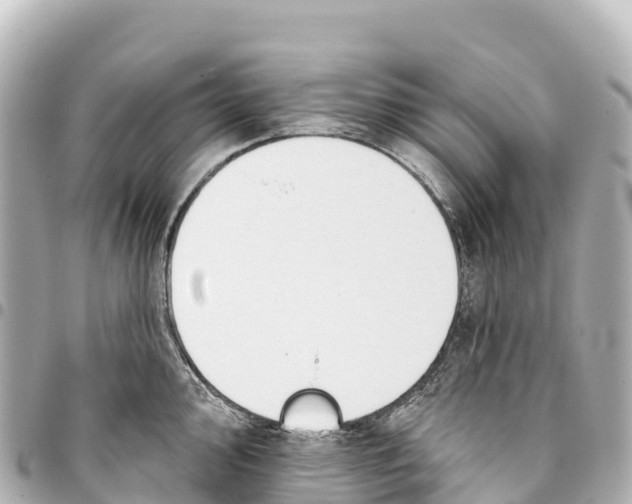 X0000093361000200711081510