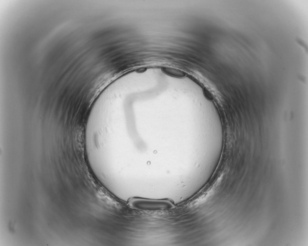 X0000093361001200711081510