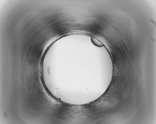 X0000093361003200711081510