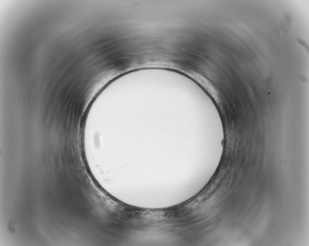 X0000093361006200711081510